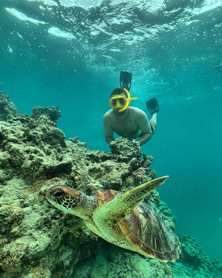 Atlantean Island Tours