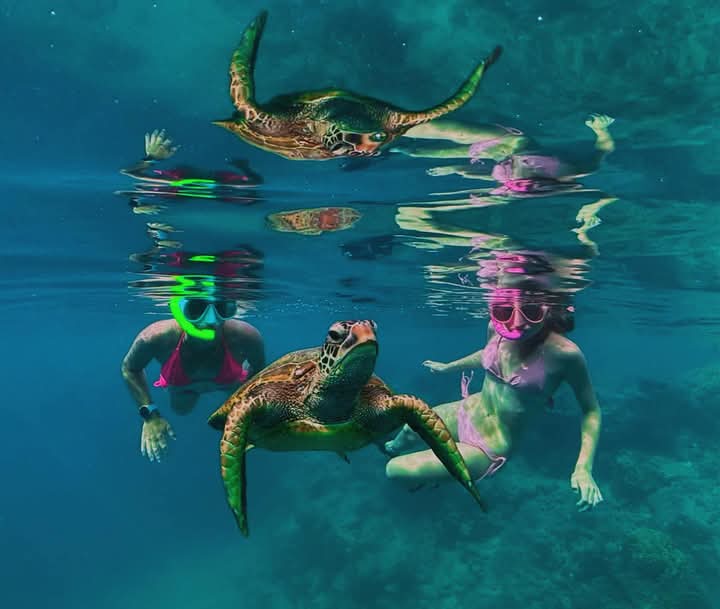 Atlantean Island Tours