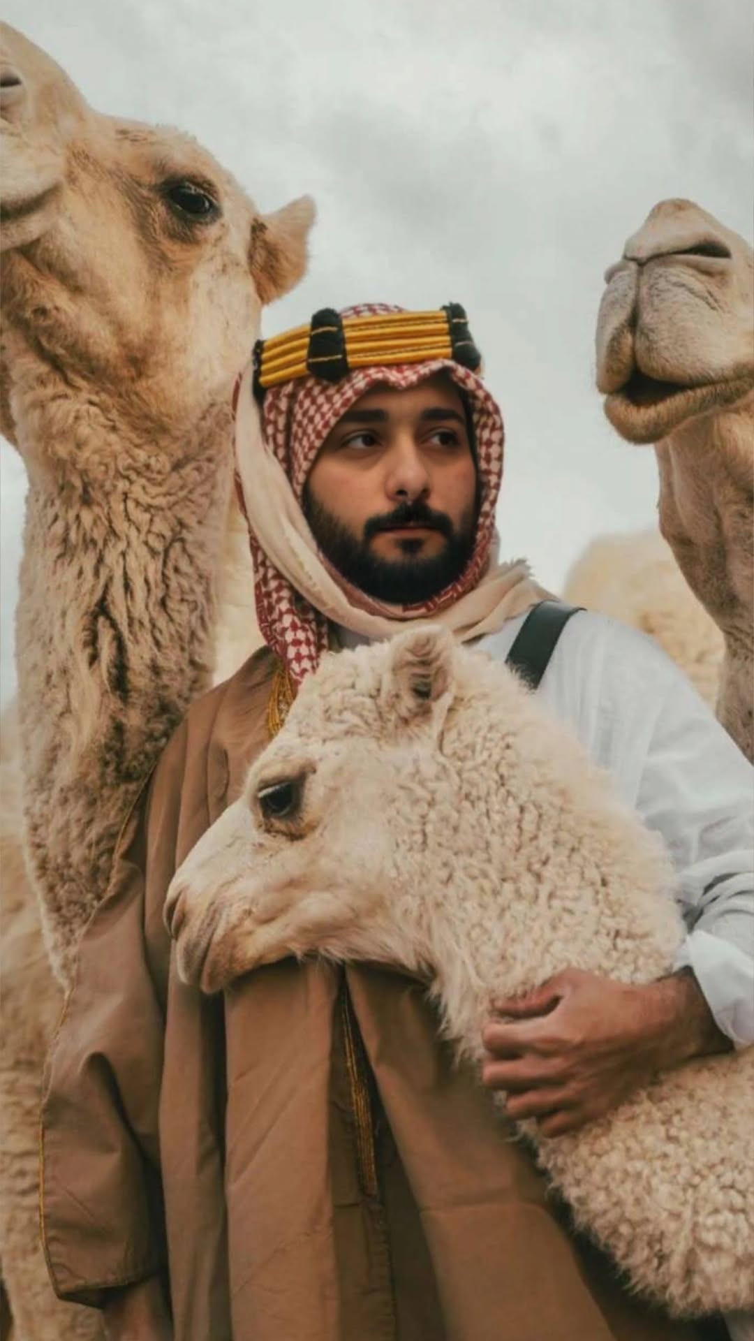 The Arabian experiences