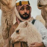 The Arabian experiences