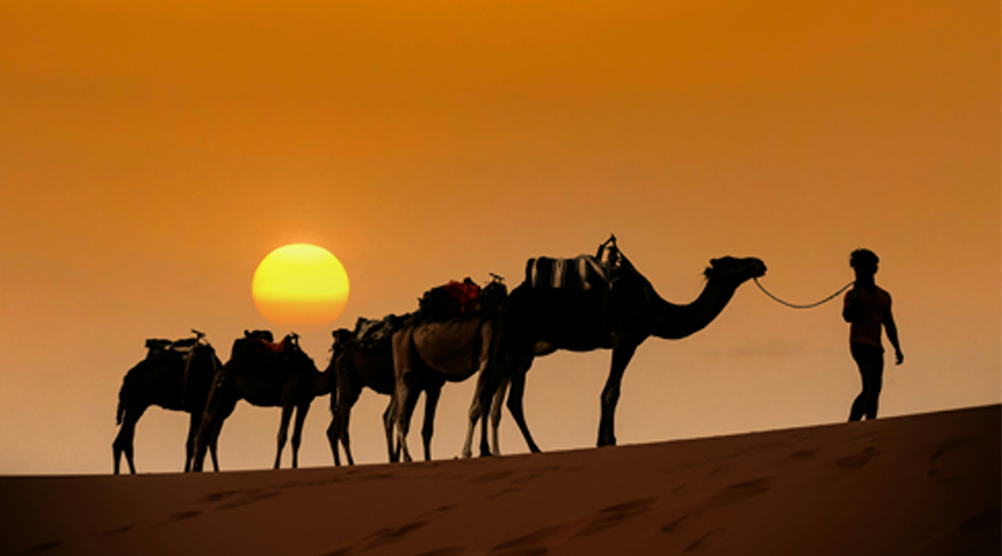 exploreittous1@gmail.com