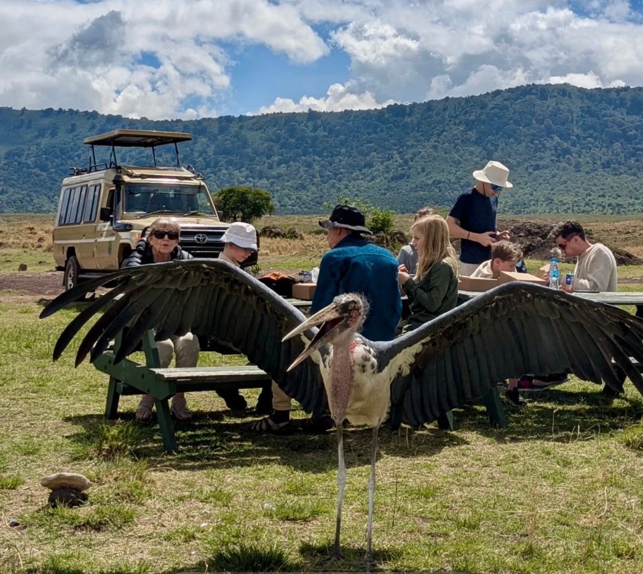 Kilimanjarotrailblazers and safaris