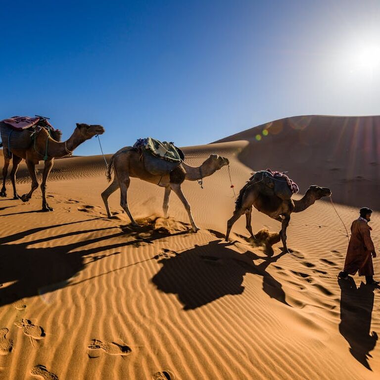 Morocco Golden Tours