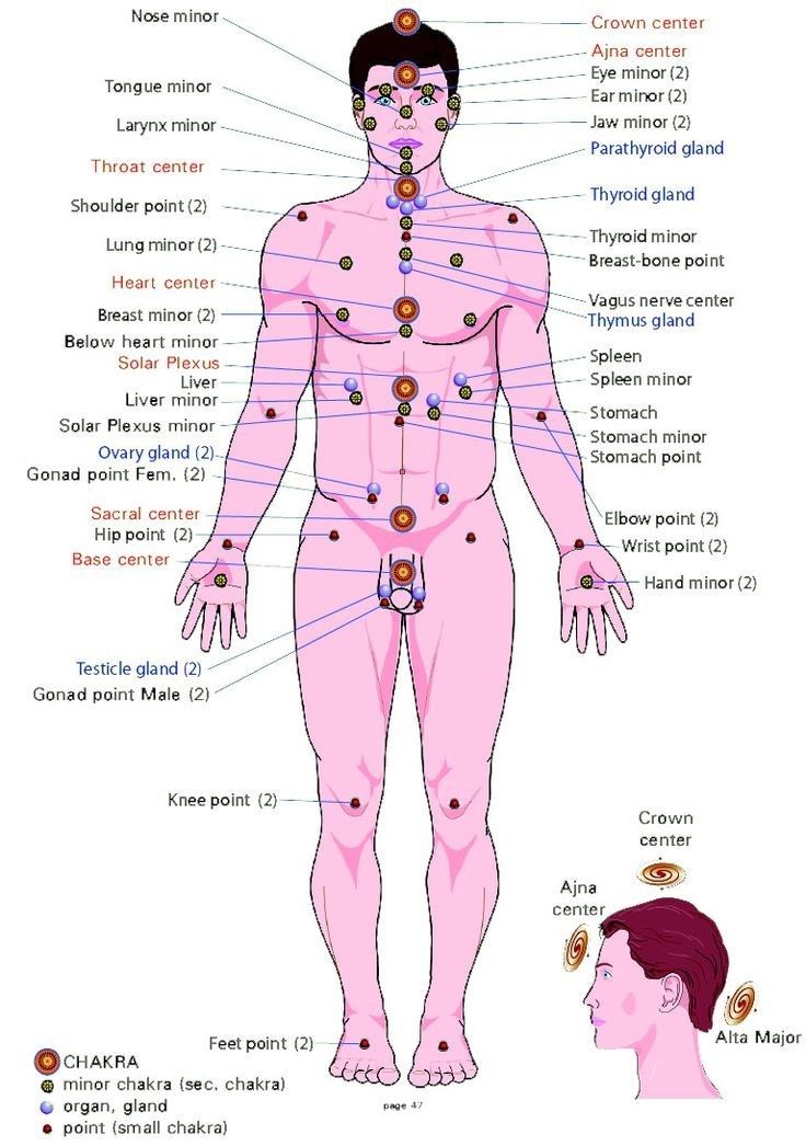 Healing Haven Ayurveda