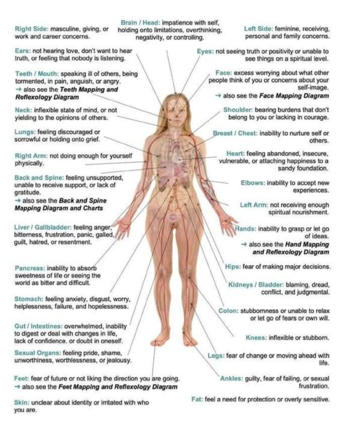 Healing Haven Ayurveda