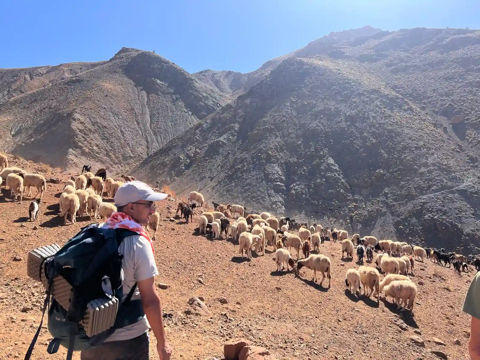 Best of Morocco Tours