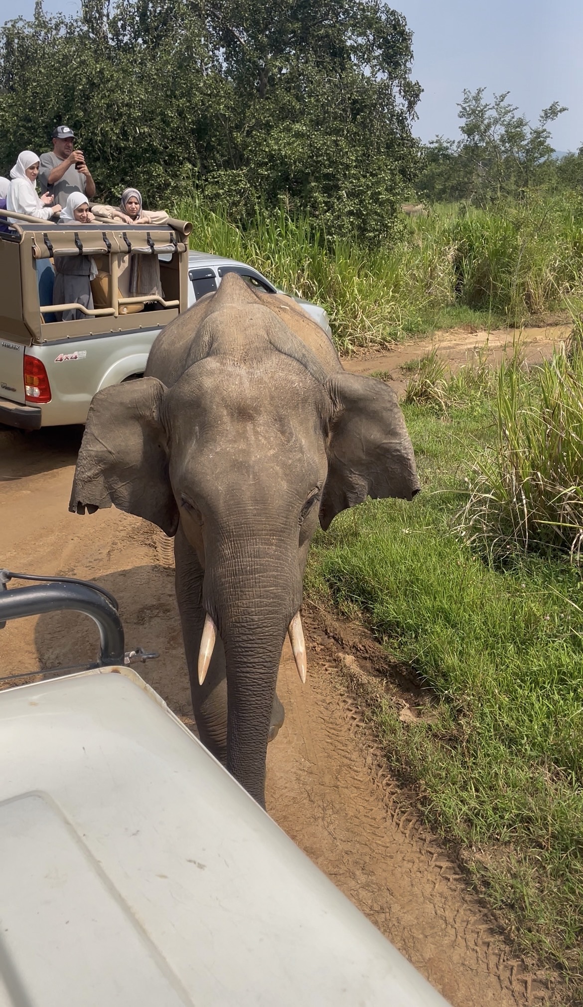 Elee'Way Safari Habarana