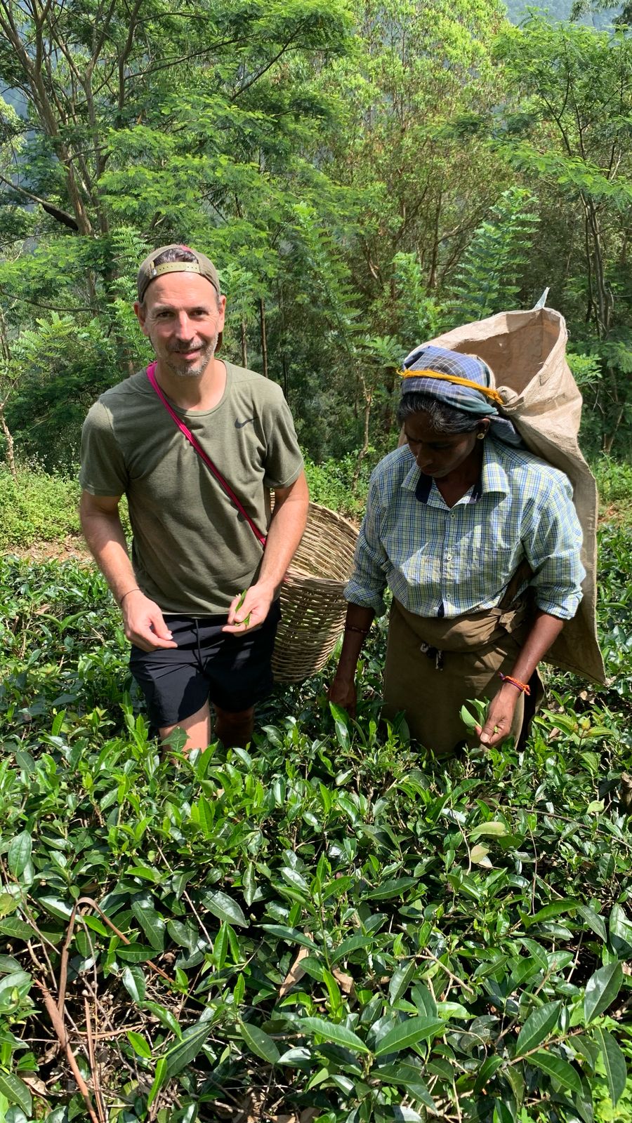 The Tea Cottage Resort & Spa