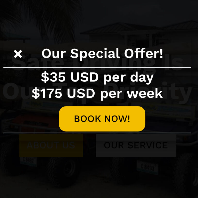 FM golf cart rental