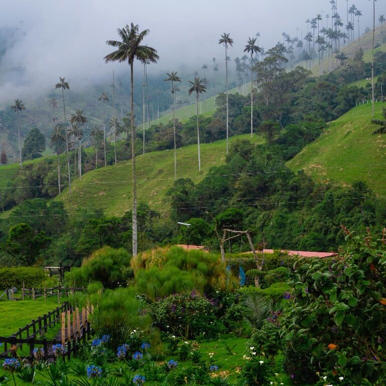 Colombia Voyage
