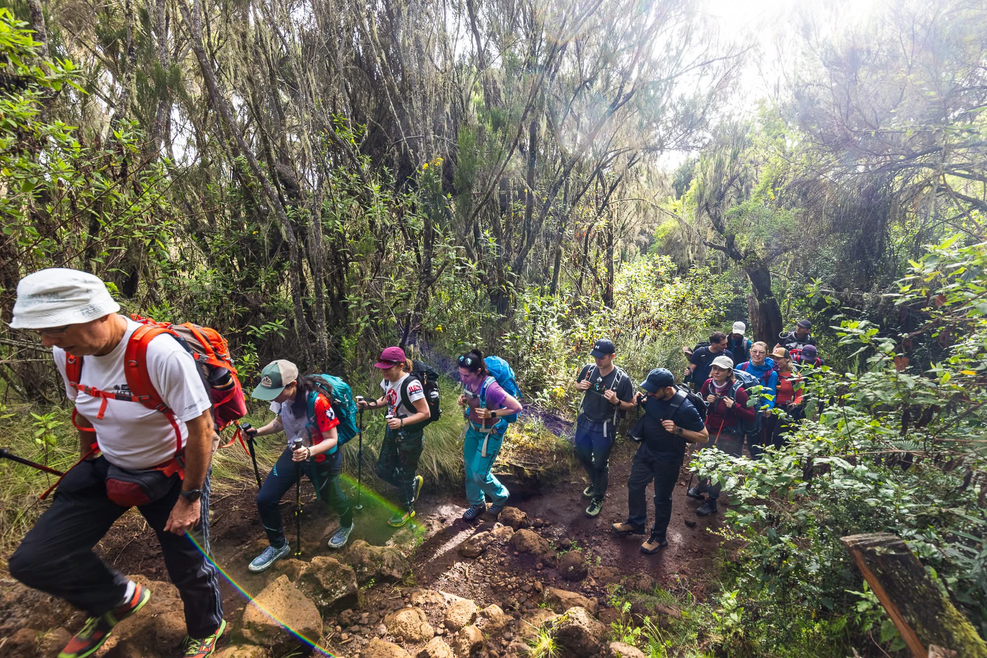 JoLo Royal Trek & Safaris