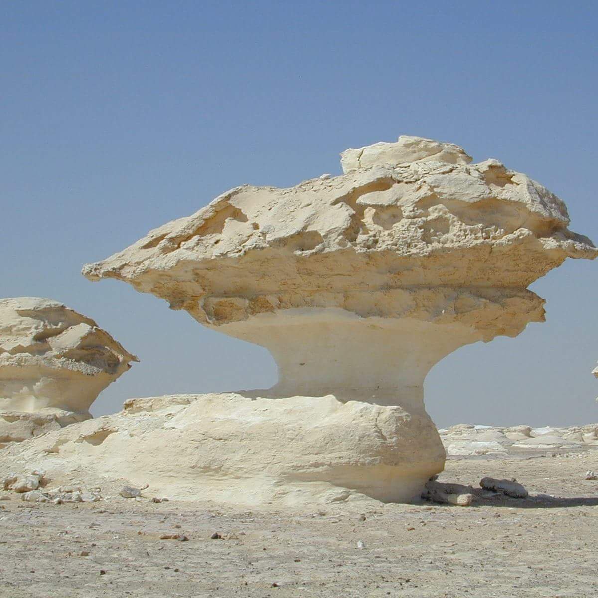 A full day tour in giza