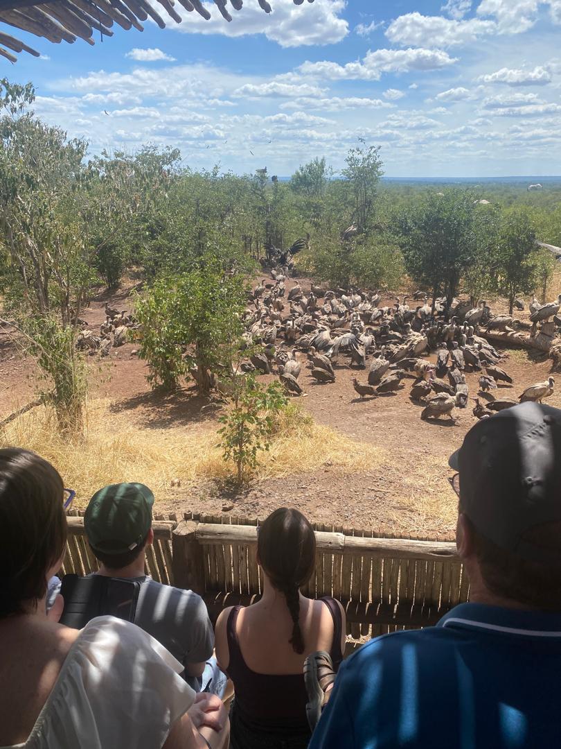 Pearls Tours Victoria Falls