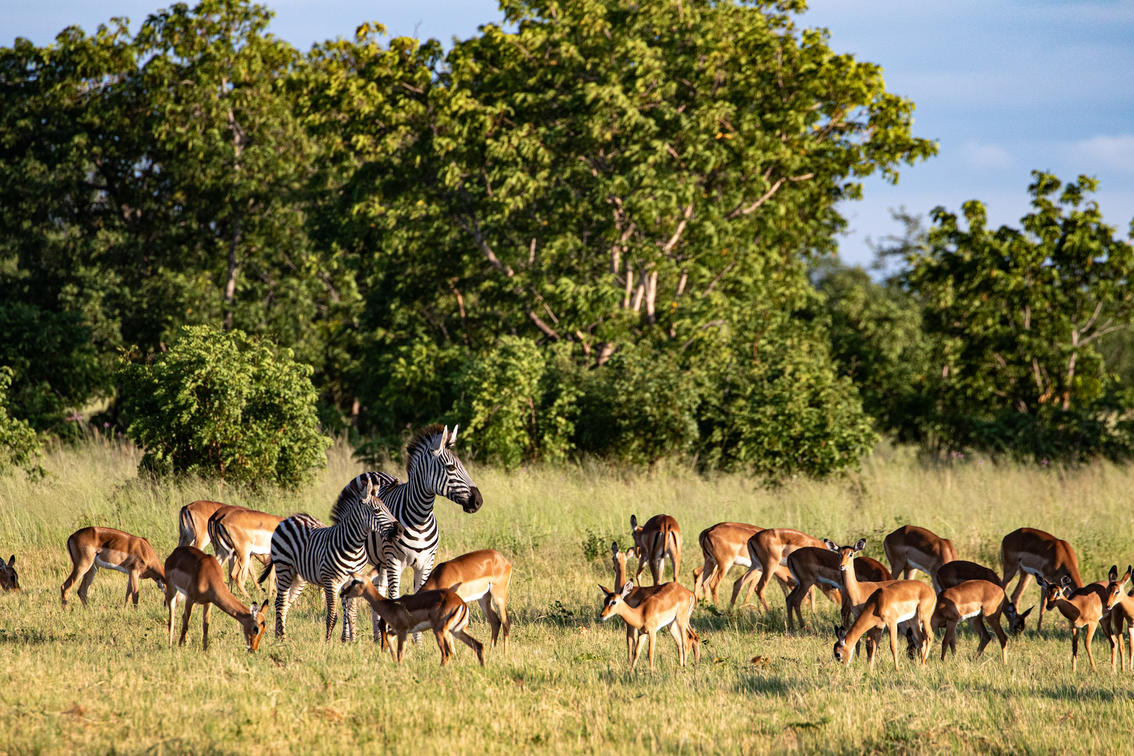 Pearls Tours Victoria Falls