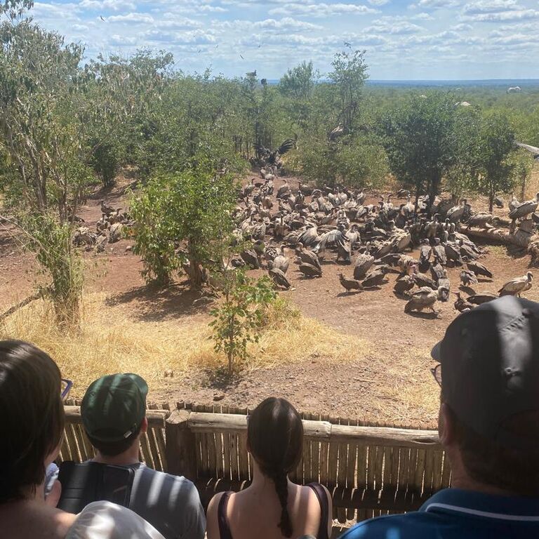 Pearls Tours Victoria Falls