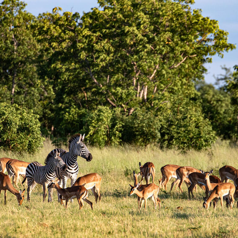 Pearls Tours Victoria Falls