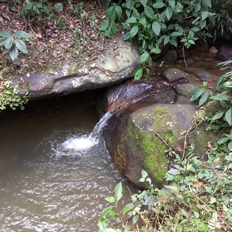 Monte La MaMa