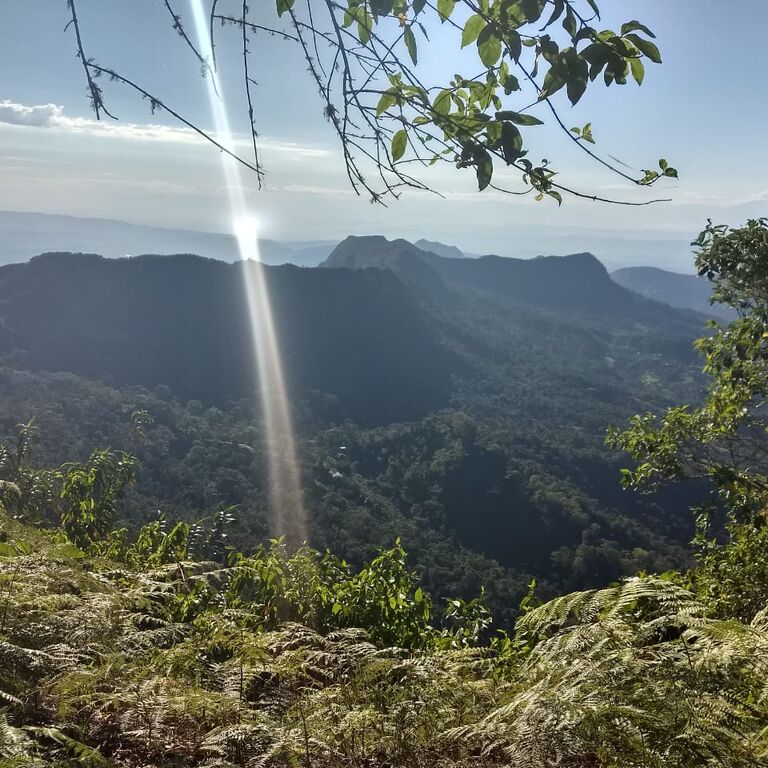Monte La MaMa