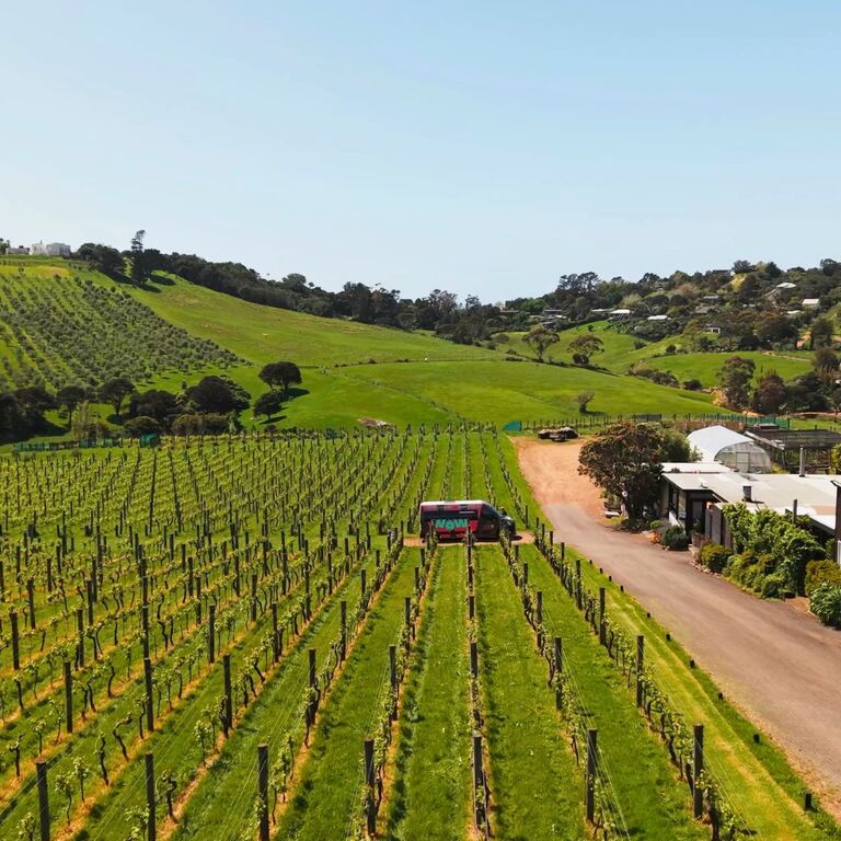 WOW Tours NZ - Waiheke Island
