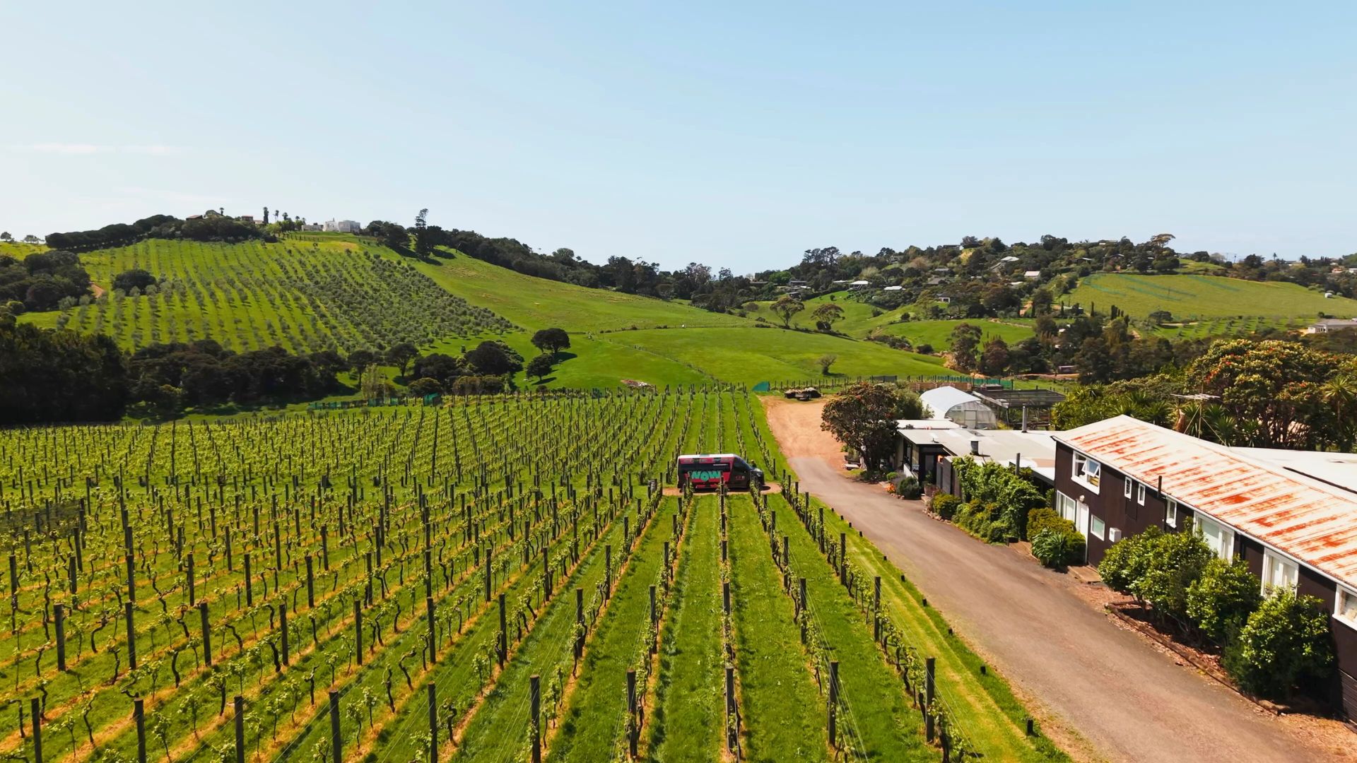 WOW Tours NZ - Waiheke Island