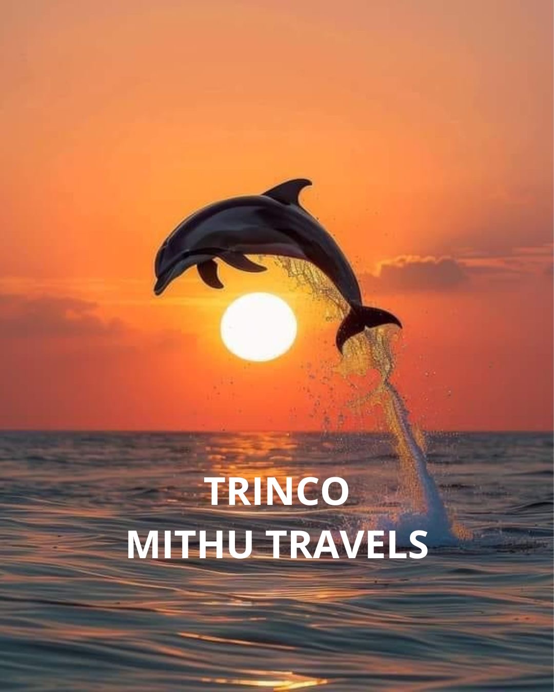 Trinco Tuk Tuk and Boat tours