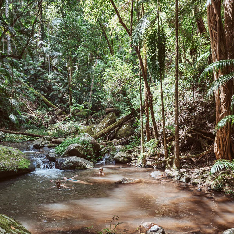 Bower Camp Co.