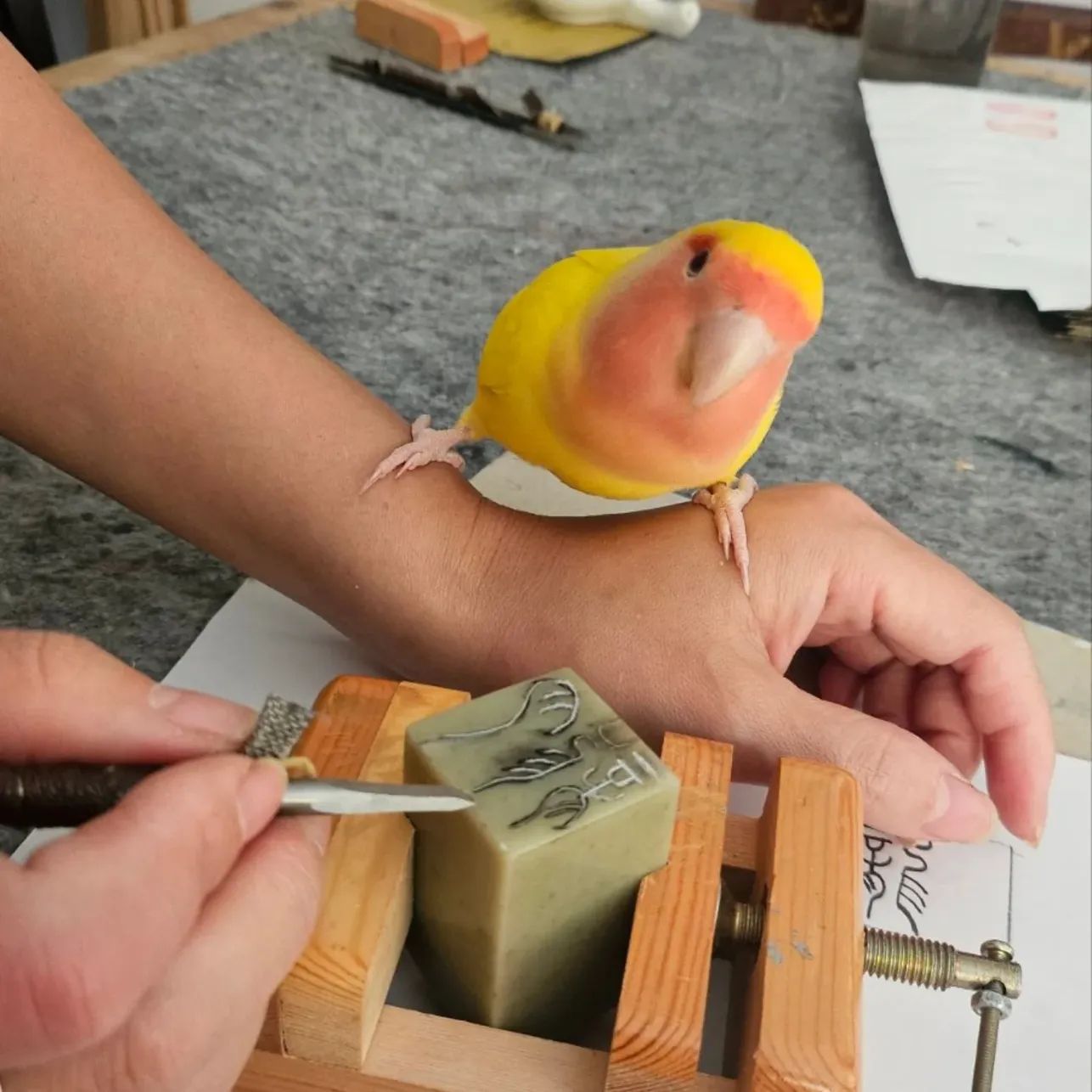 Create your own seal ( stamp) in special stone