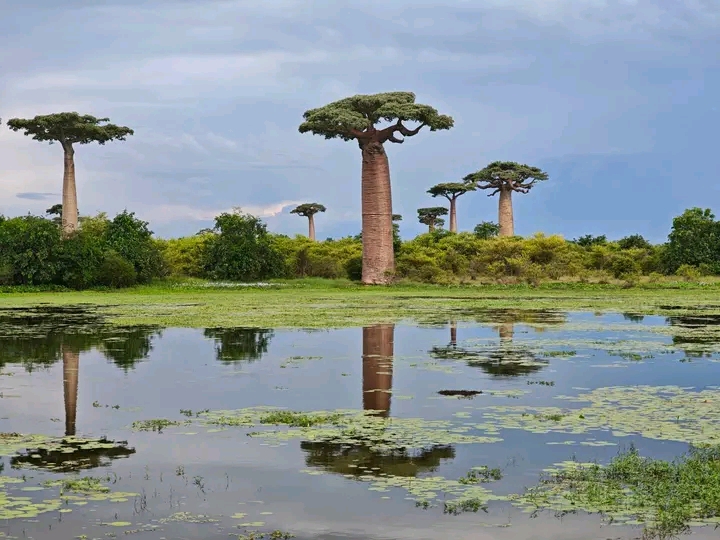 Tourisme-aventure-madagascar