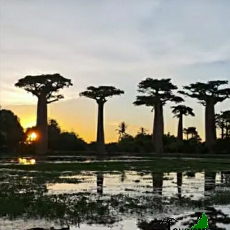Tourisme-aventure-madagascar