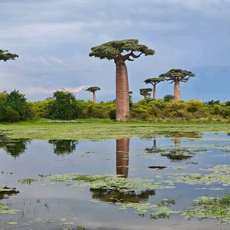 Tourisme-aventure-madagascar