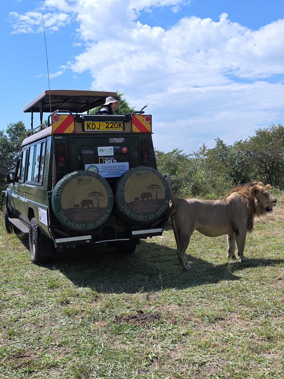 Twinkle Star Tours and Safaris Ltd