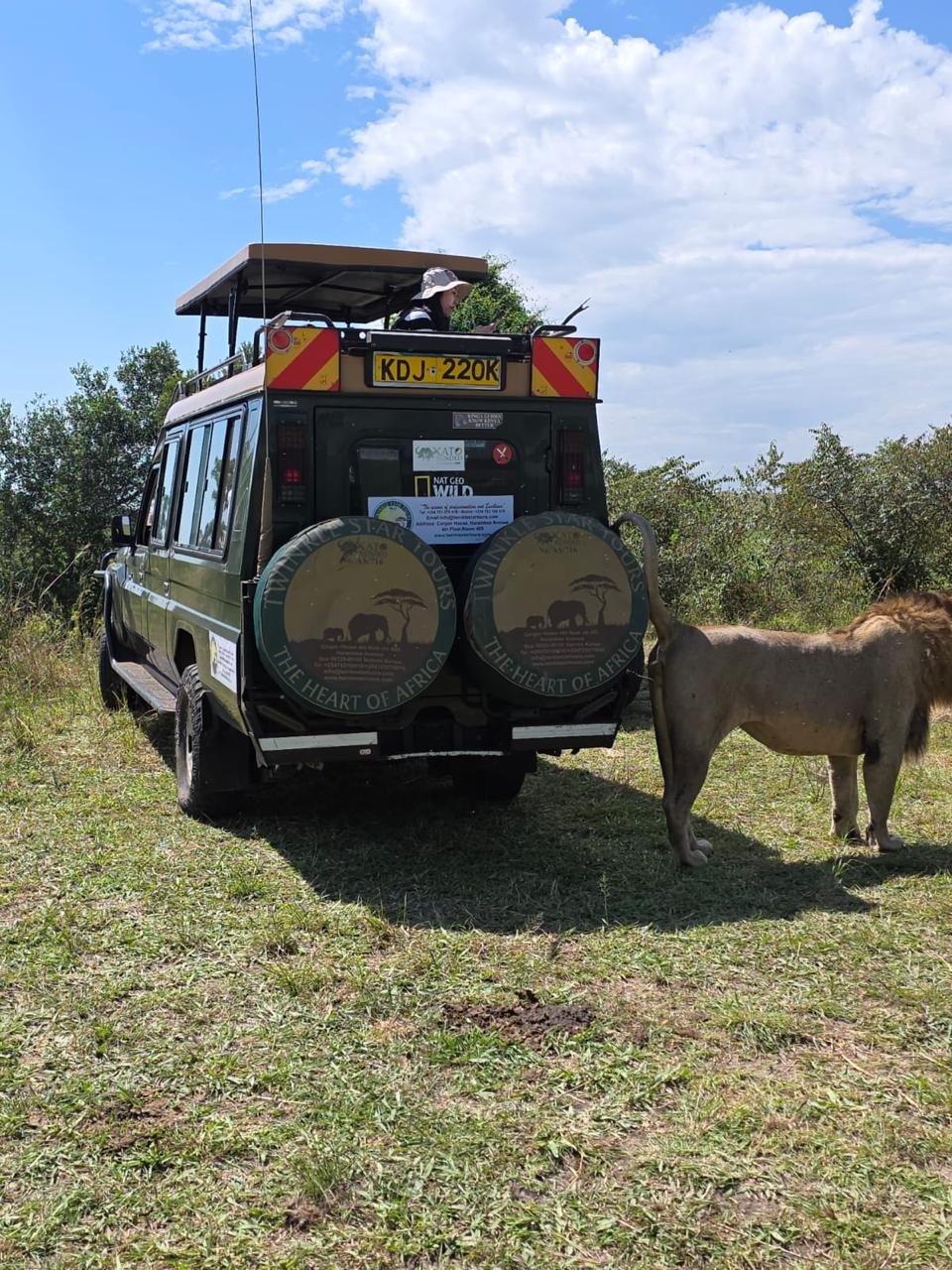 Twinkle Star Tours and Safaris Ltd