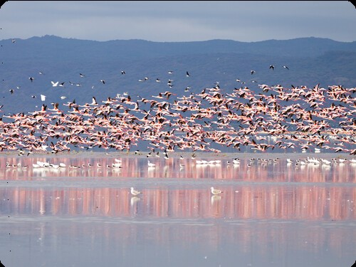 EXCELLENCE AFRICA ADVENTURES