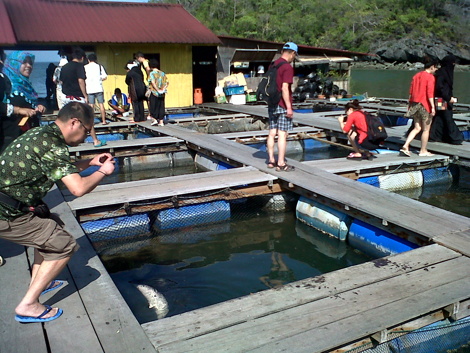 Mangrove Boat Tour