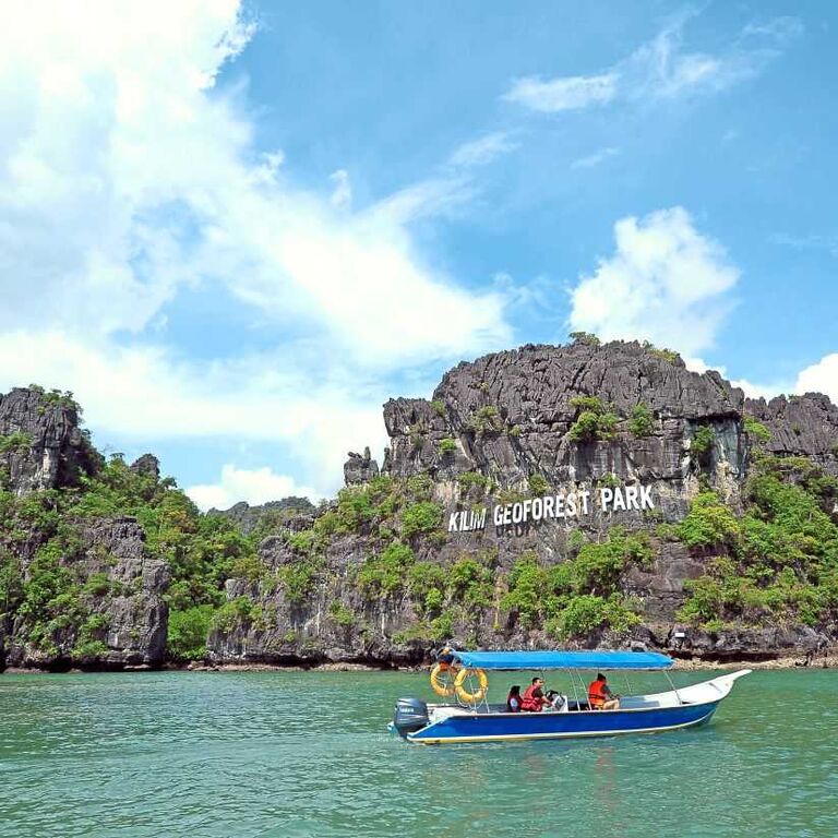 Mangrove Boat Tour
