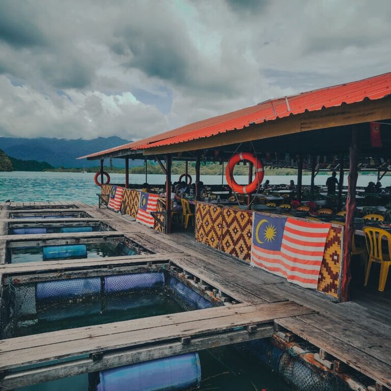 Mangrove Boat Tour