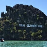 Mangrove Boat Tour