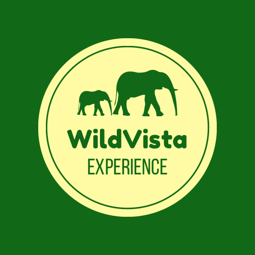 WILDVISTA EXPERIENCE