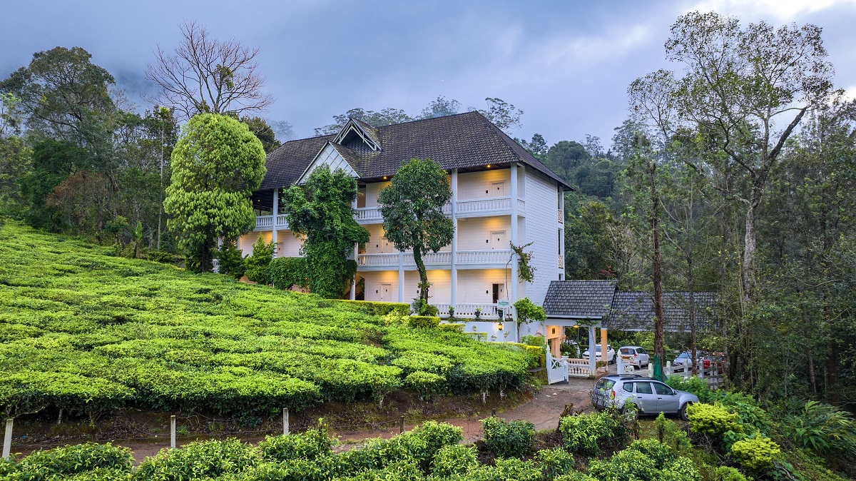 Tea Harvester