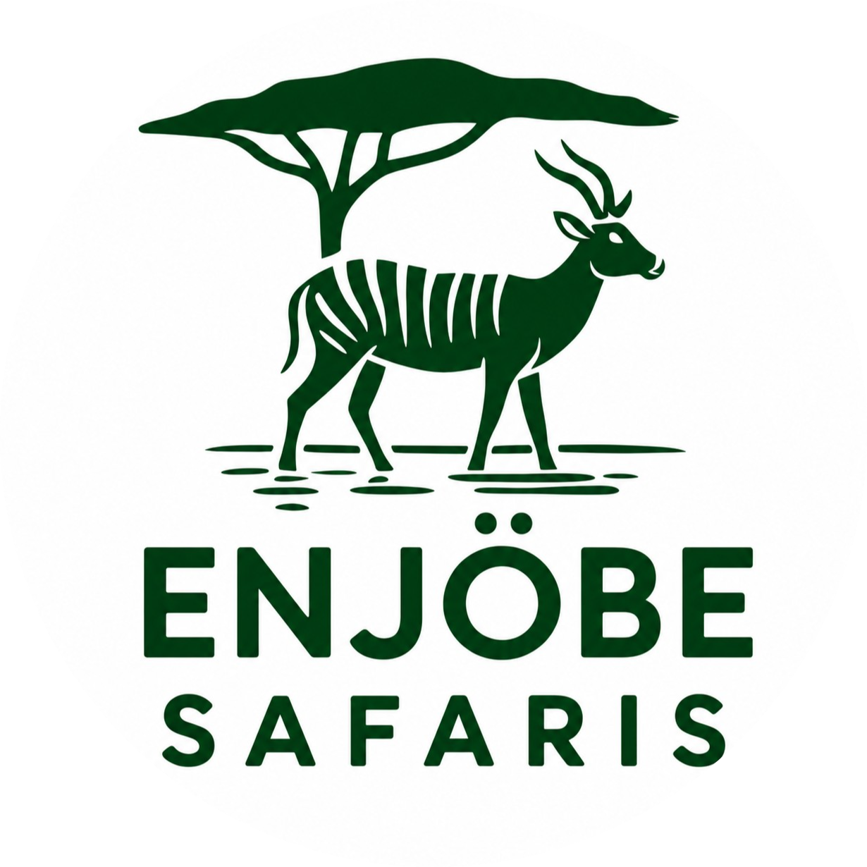 Enjobe Safaris