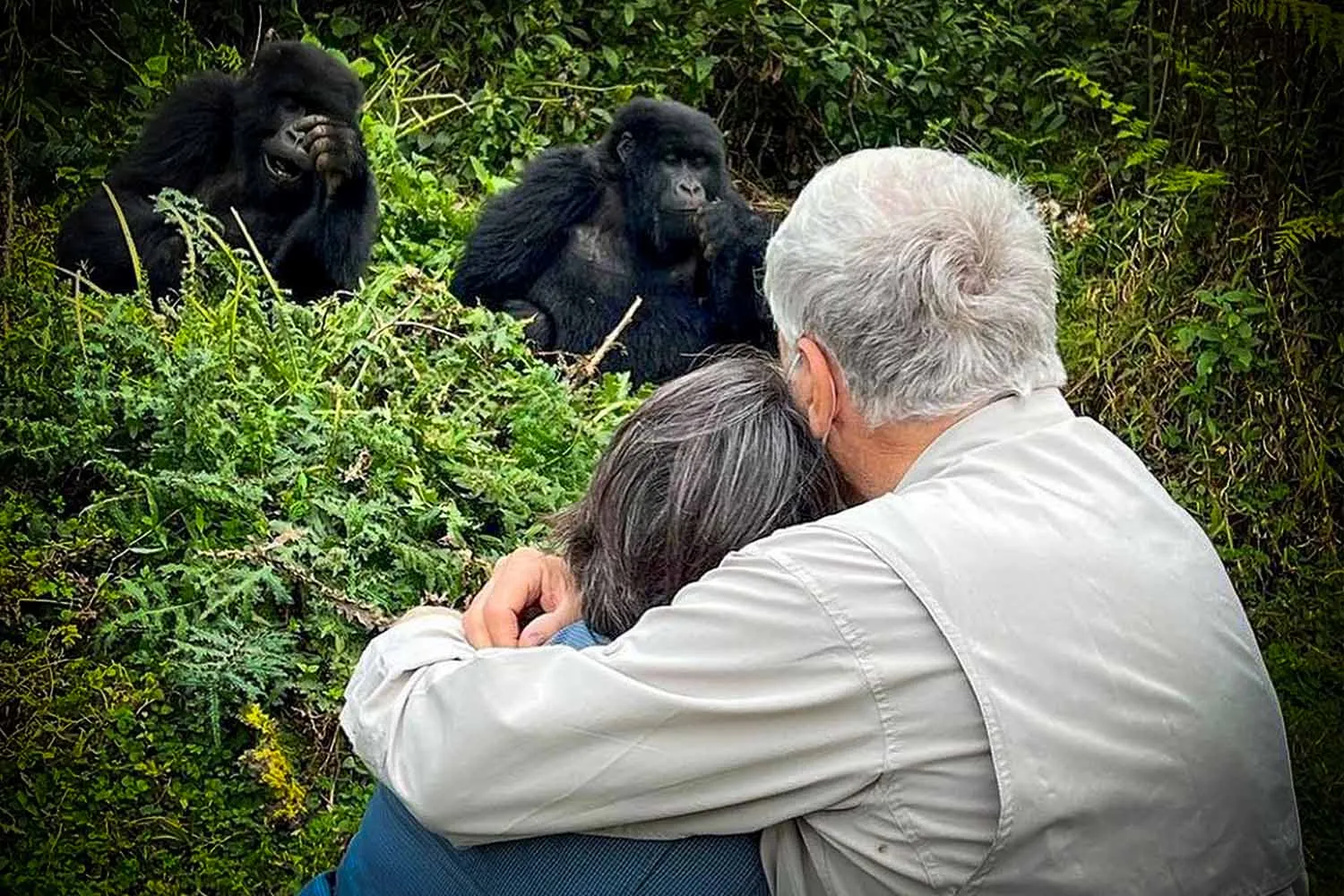 PIELAND GORILLA SAFARIS