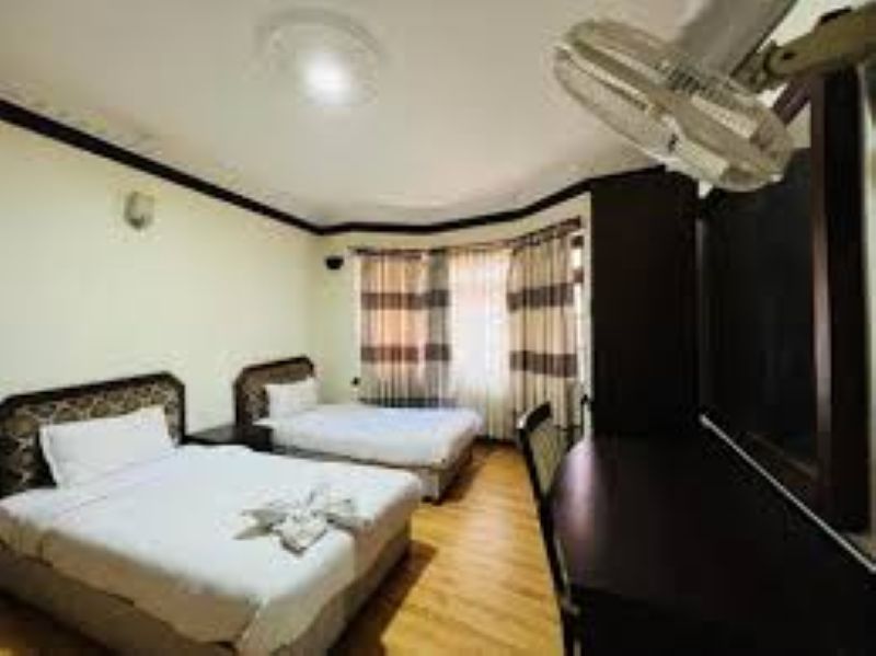 Nest Apartment