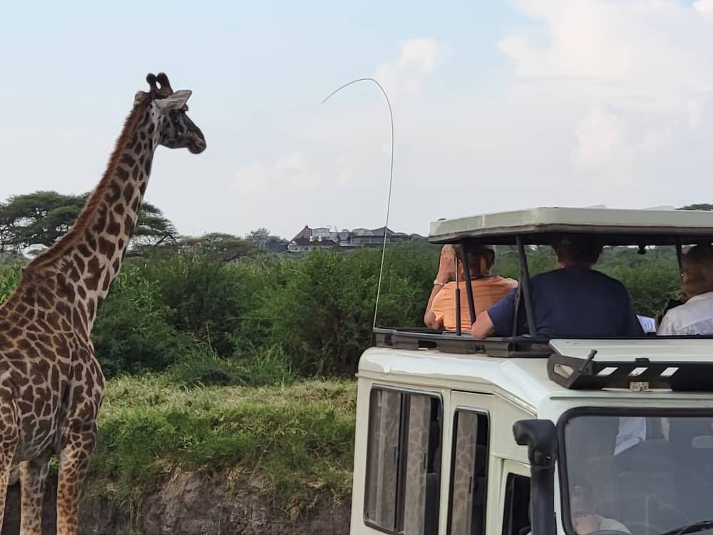 LAND SAVANNAH AND TREKKING