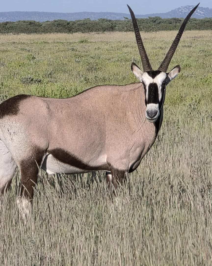 Ferros tours and safaris