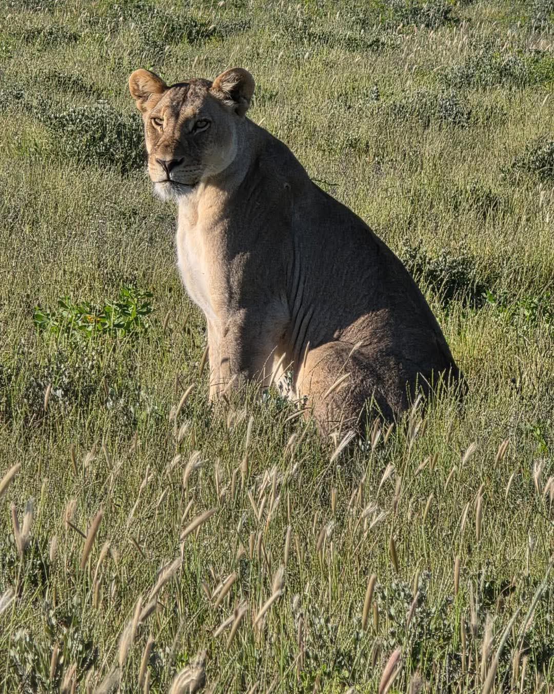 Ferros tours and safaris