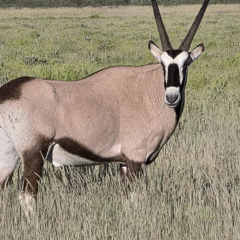 Ferros tours and safaris