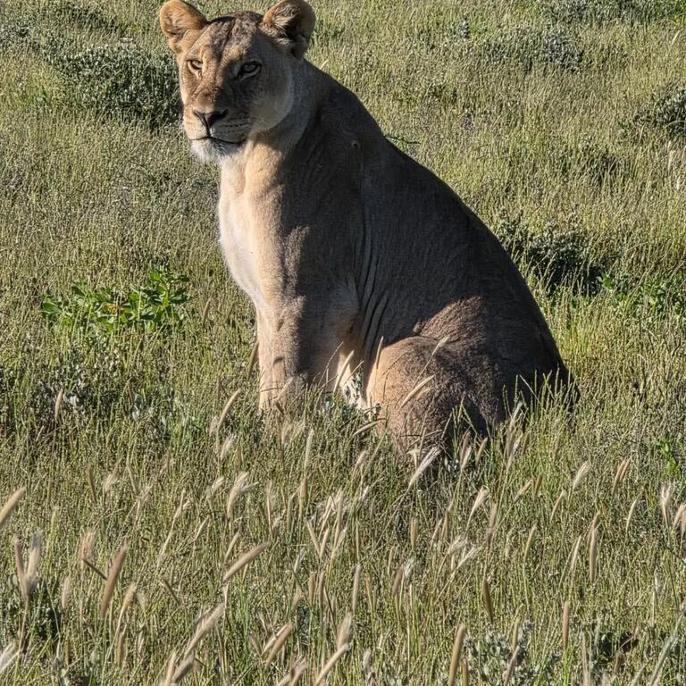 Ferros tours and safaris
