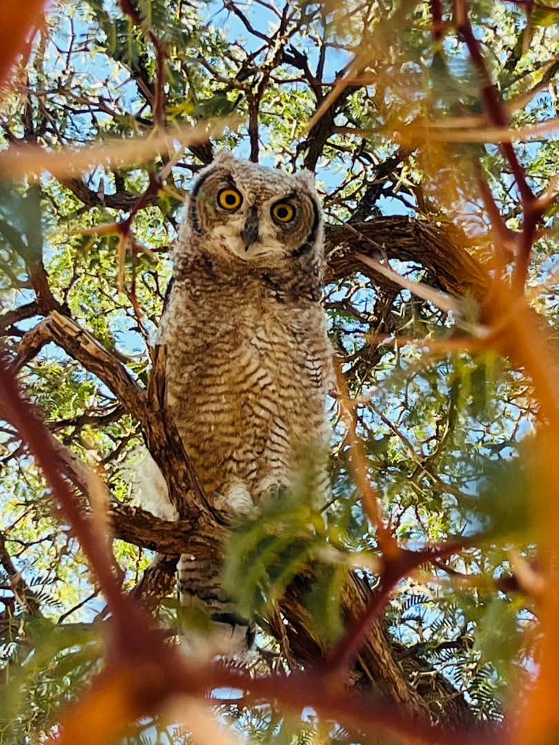 Ferros tours and safaris