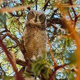 Ferros tours and safaris