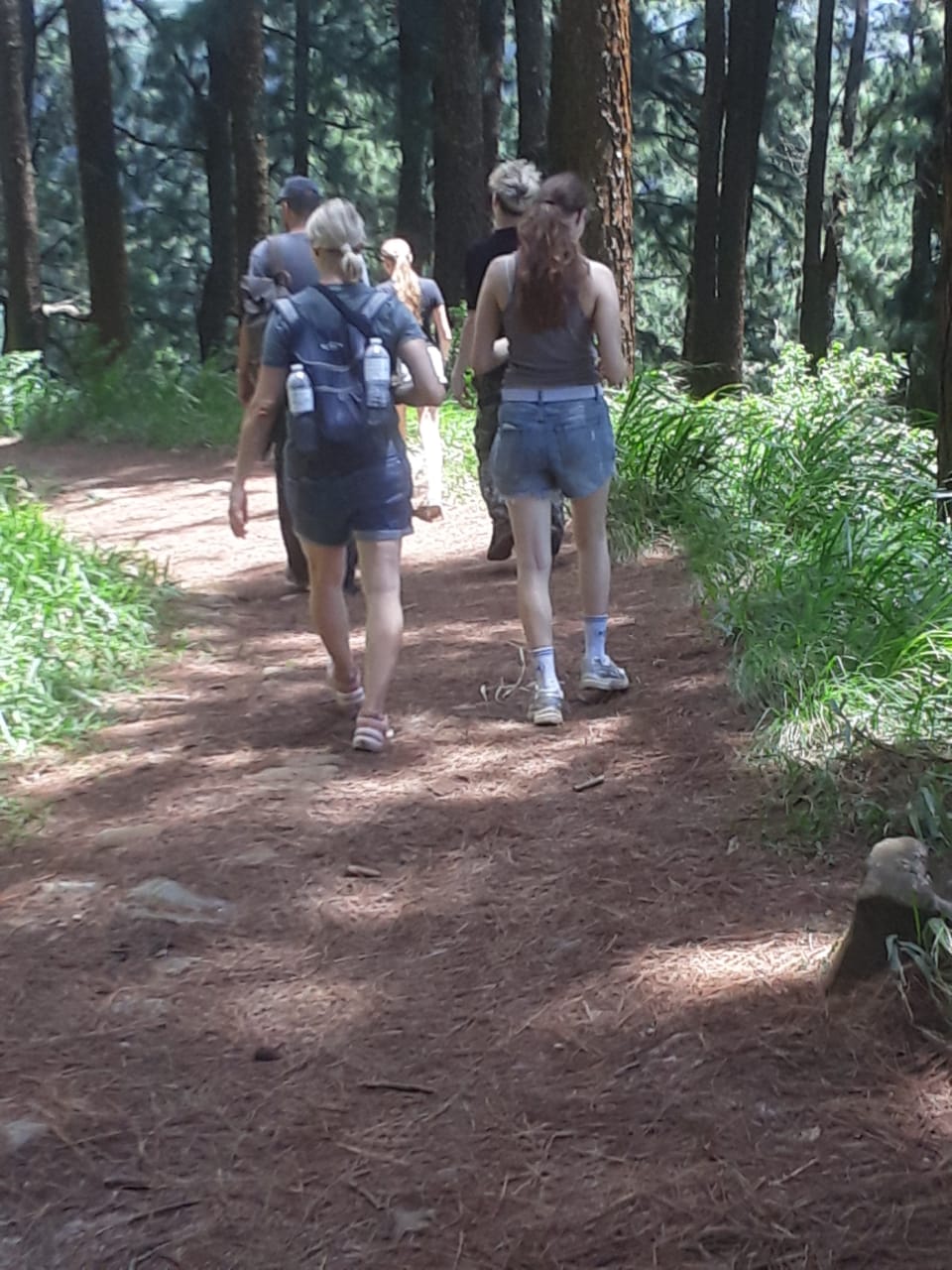 SnS Nature Tours
